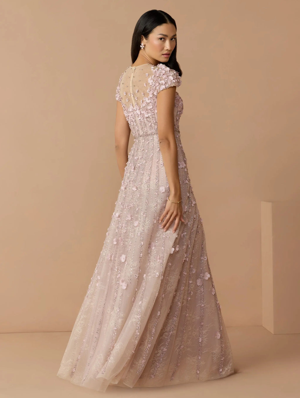 Pink Embellished Lace Illusion Neck A-Line Gown